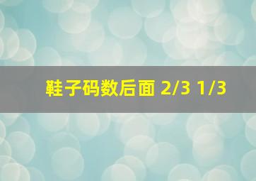 鞋子码数后面 2/3 1/3